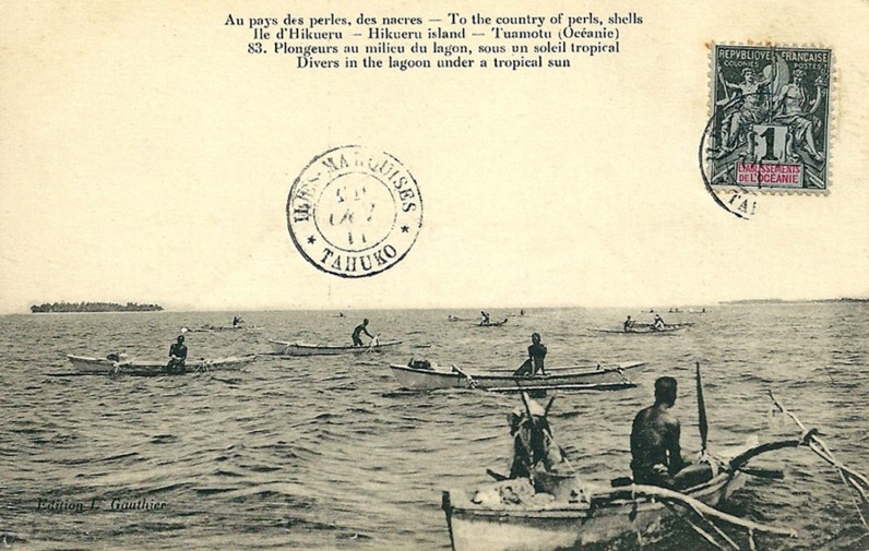 Au pays des perles, des nacres en 1912, île de Hikueru (Tuamotu). Le plongeur remonte après un plongeon de 1 à 3 minutes. Photo Lucien Gauthier