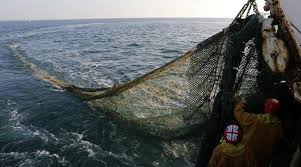 Le Parlement européen entérine les restrictions pour la pêche en eaux profondes