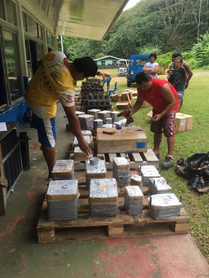 Artifices Polynésie : faire rêver en toute sécurité