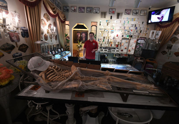 Lapins, mort, coeurs brisés: Los Angeles, la ville des musées azimutés