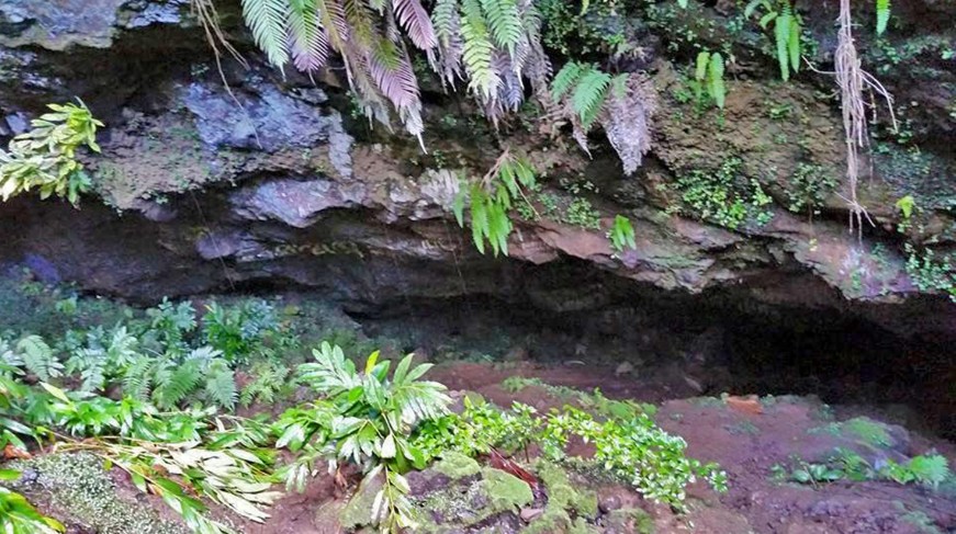 Petites histoires de Noël, ou comment l’amour peut tout changer