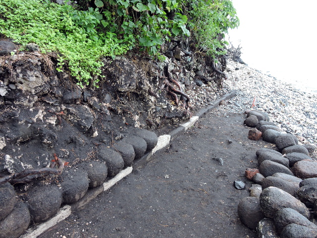 Mark Eddowes a mis au jour le soubassement du marae.