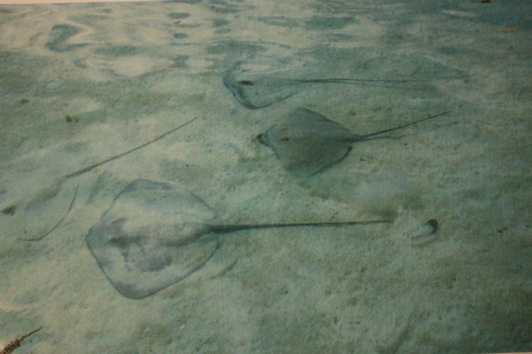 Rétrospective 2016 : les temps forts de janvier