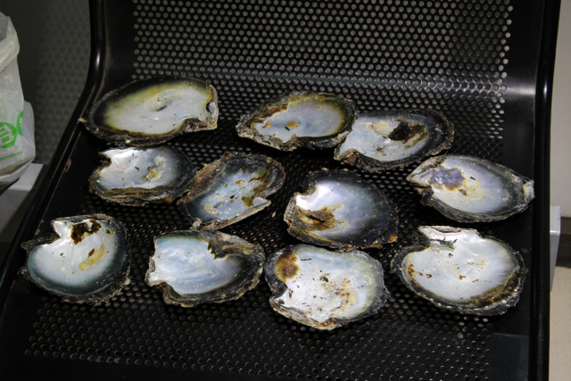 Rétrospective 2016 : les temps forts de septembre