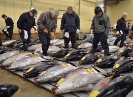 Japon: un thon rouge à 605.000 euros à la 1ère criée 2017