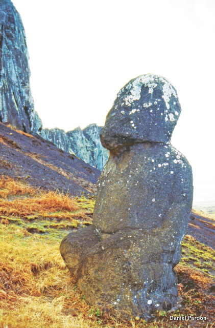 Tuku Turi, ou Tuturi (littéralement “à genoux”) vu de profil : indubitablement, il a une facture polynésienne, marquisienne même. Il repose sur ses deux jambes repliées, ce qui n’est le cas d’aucun moai pascuan.