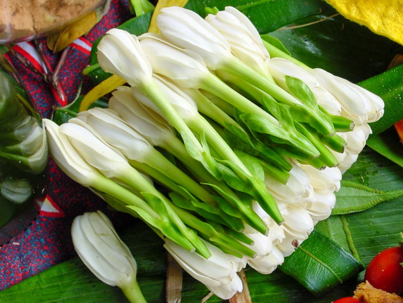 2.	Fleurs de tiare Tahiti au doux parfum