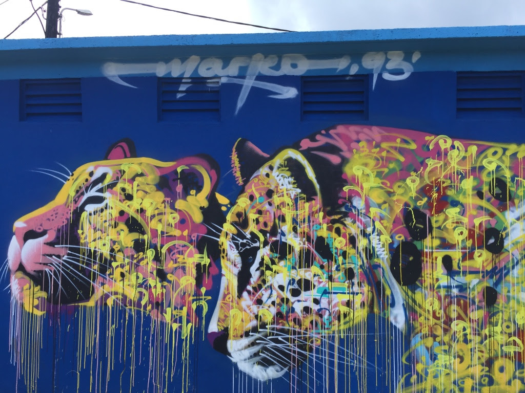 Marko93, qui a peint de splendides félins à Papeete et à Uturoa, est de retour au fenua ! (Crédit photo : TNG/Ono'u)