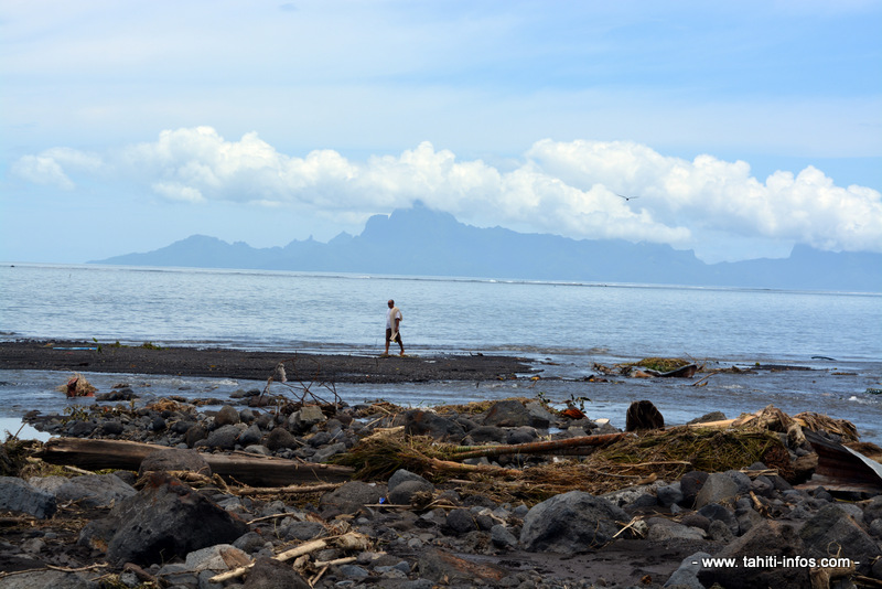 Déchets verts et encombrants : les indésirables des rivières