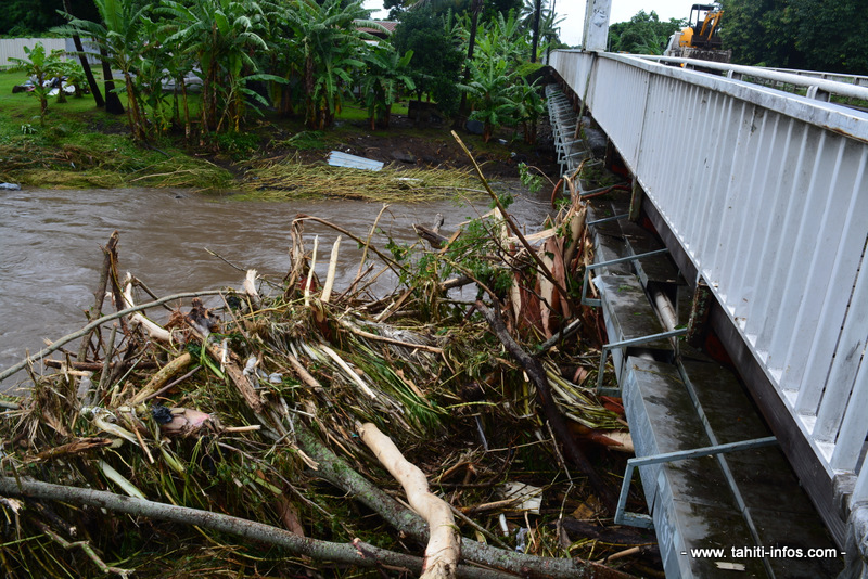 Déchets verts et encombrants : les indésirables des rivières