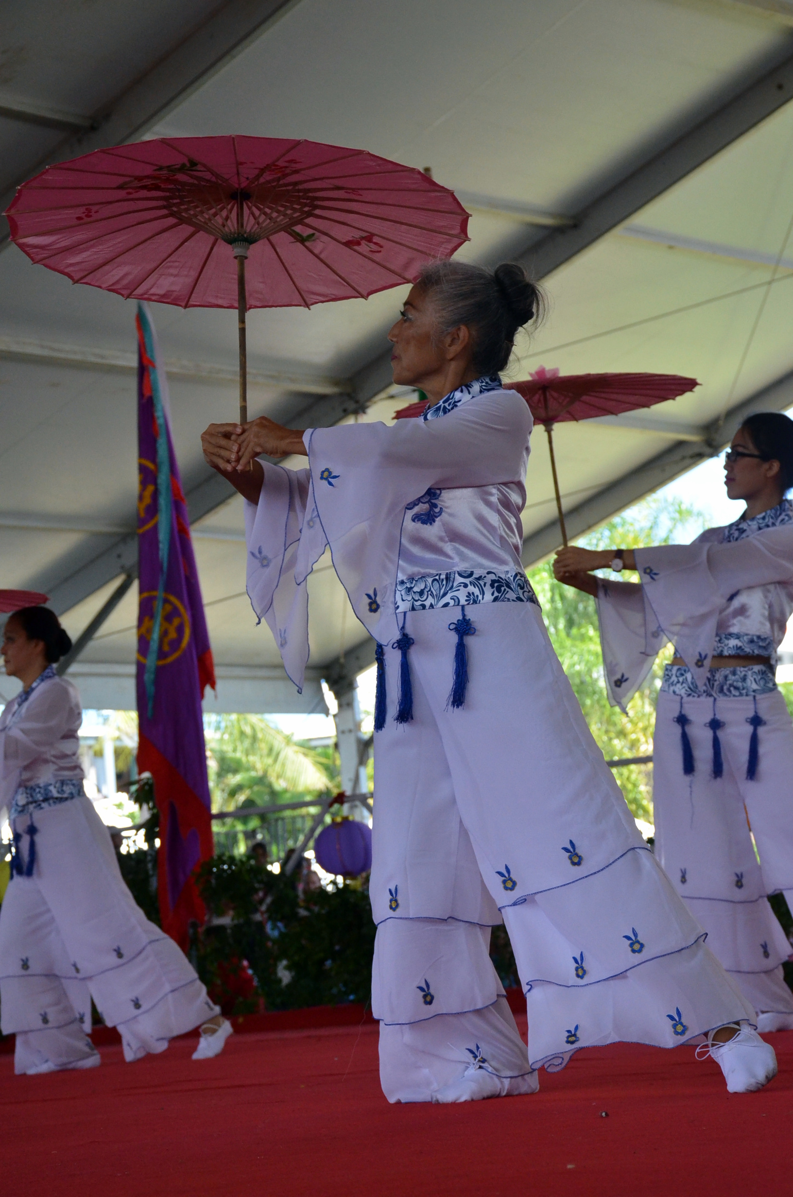 La journée culturelle chinoise placée sous le signe de la solidarité