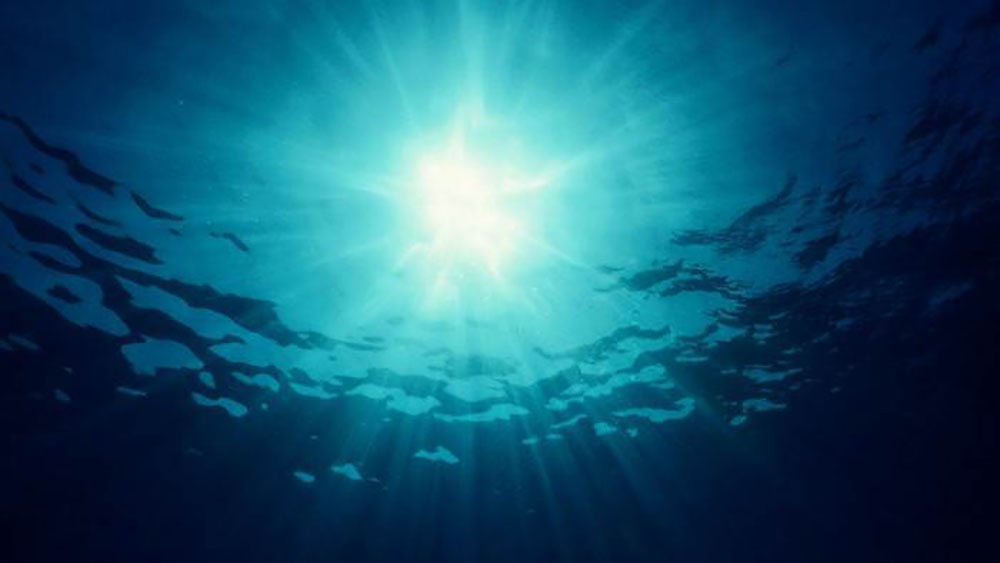 Des traces de pollution chimique au fond des abysses