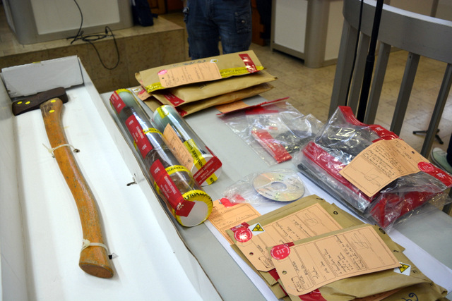 Cour d'assises : 20 ans de réclusion criminelle pour le meurtrier à la hache