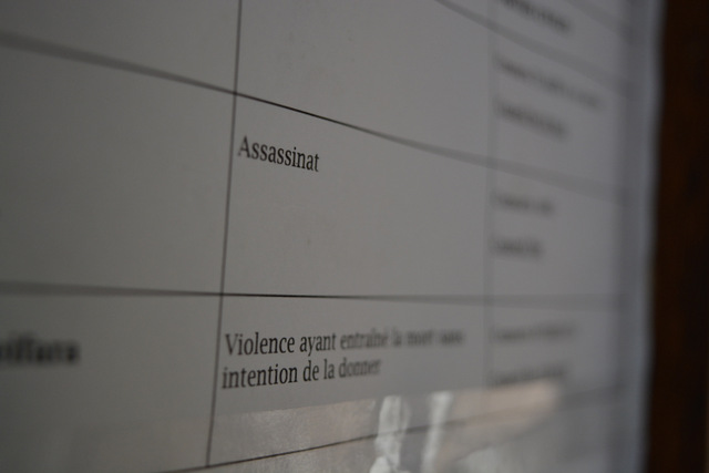 Cour d'assises : 20 ans de réclusion criminelle pour le meurtrier à la hache