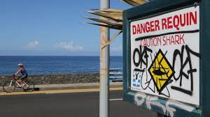 Polémique à La Réunion après la mort d'un bodyboardeur tué par un requin