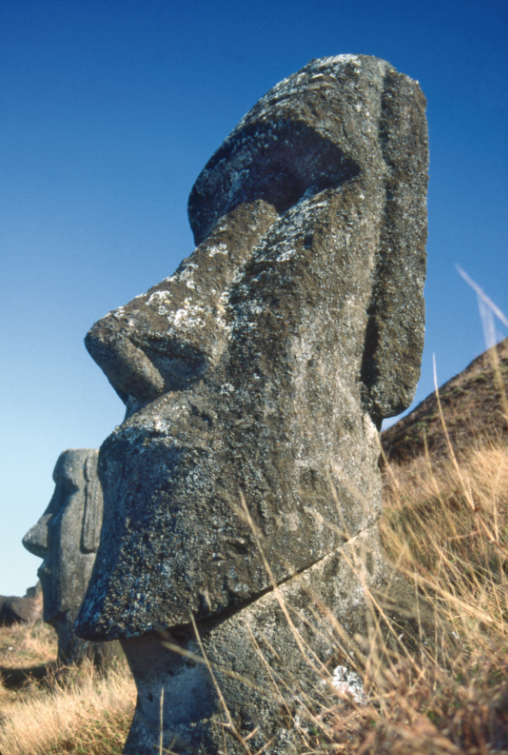 Emblématiques sentinelles de la grande carrière abandonnée. Eux savent, mais ils ne parlent pas…