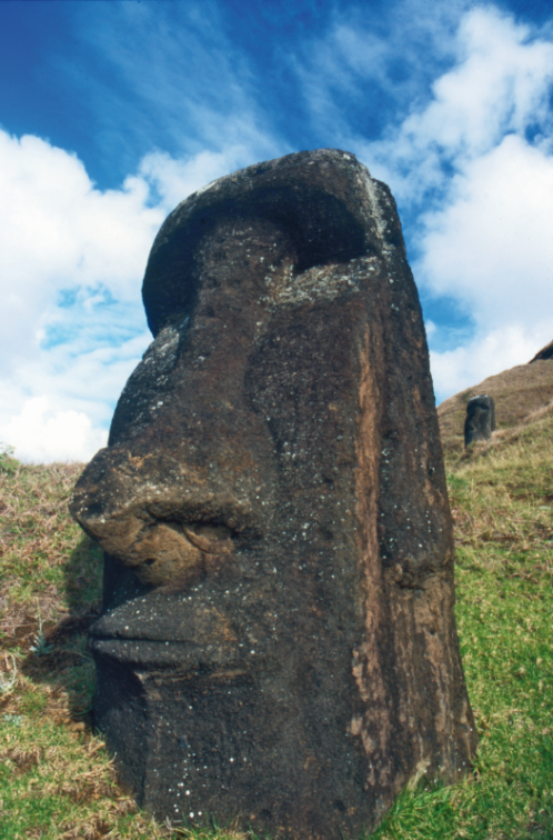 Un moai sculpté à l’intérieur du cratère ; sa mine est boudeuse…