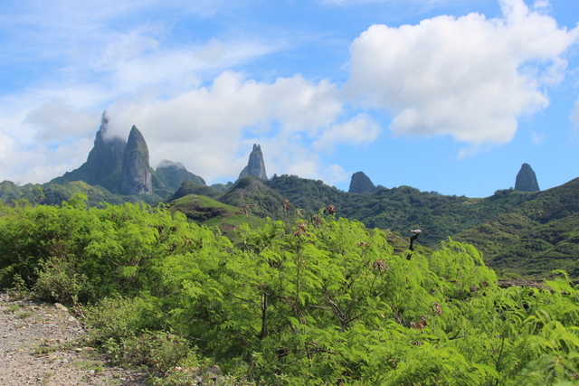 Le 1er pôle local de développement est né aux Marquises nord