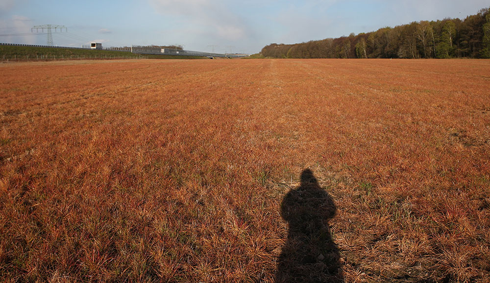 Glyphosate: une étude écarte le risque cancérogène, l'UE tranchera
