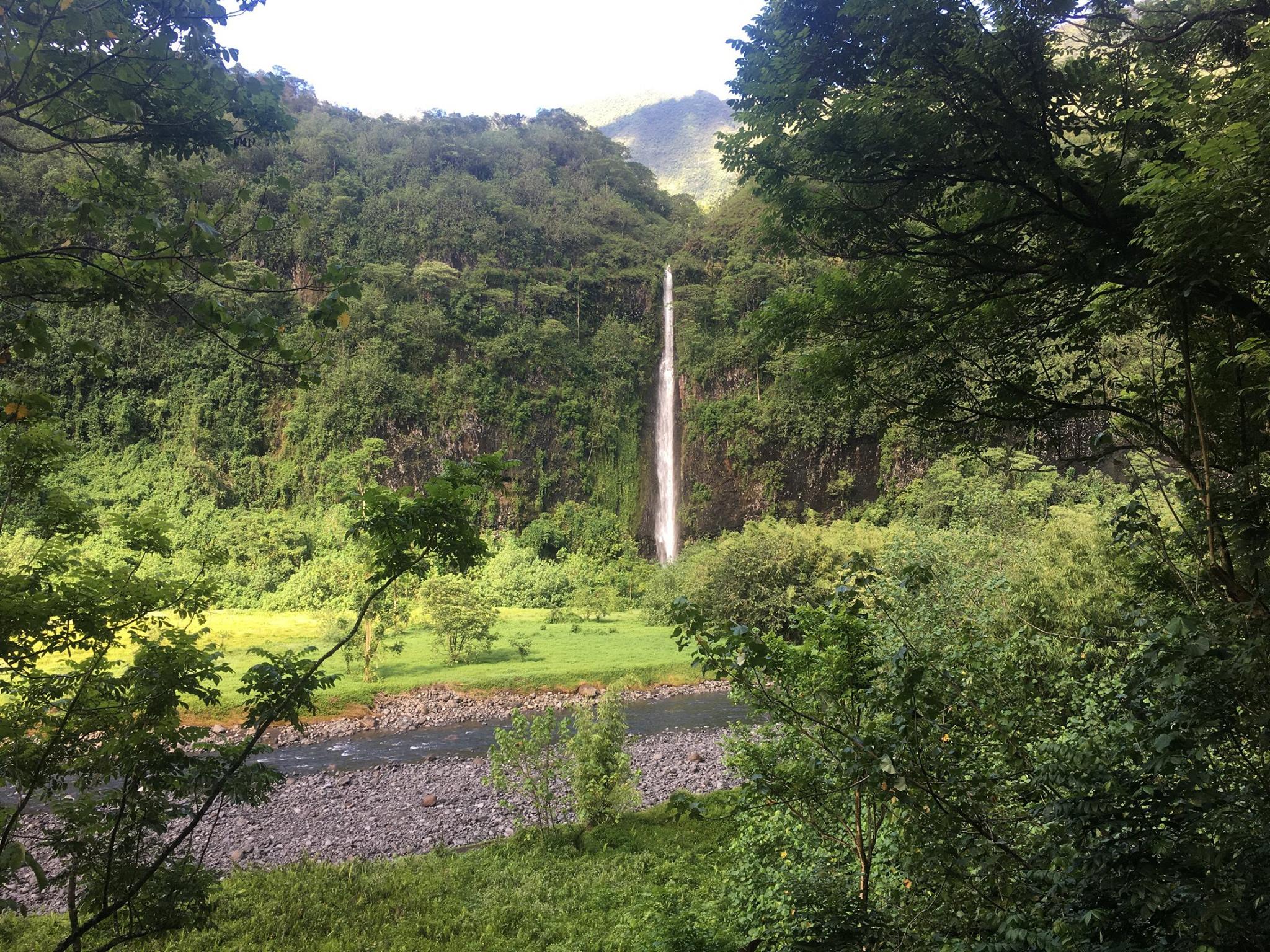 Un spectacle féerique attend les participants
