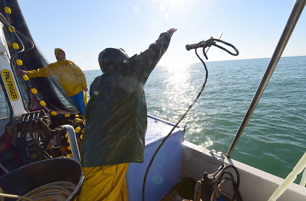 UE s'engage sur 10 ans pour "sauver" les stocks de poissons en Méditerranée