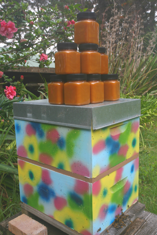 Une ruche de Carole et de Frank, avec un échantillon de miel produit : une bonne année, chaque ruche fournit 40 kilos de miel.