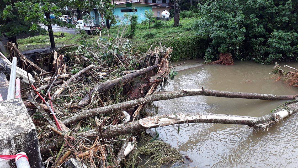 Des arbres se sont retrouvés coincés sous le pont de Mahateaho à Hitiaa. (crédit photo : Raihoa)