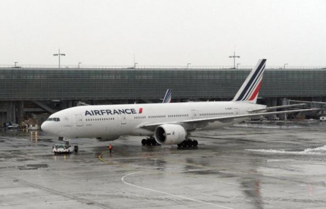 Transport aérien: "16.000 emplois menacés" selon les professionnels