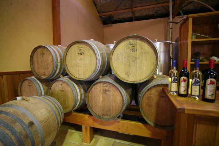 En une vingtaine d’années, la Nouvelle-Zélande est devenue l’un des producteurs les plus appréciés du “Nouveau Monde”, pour la qualité de ses vins.
