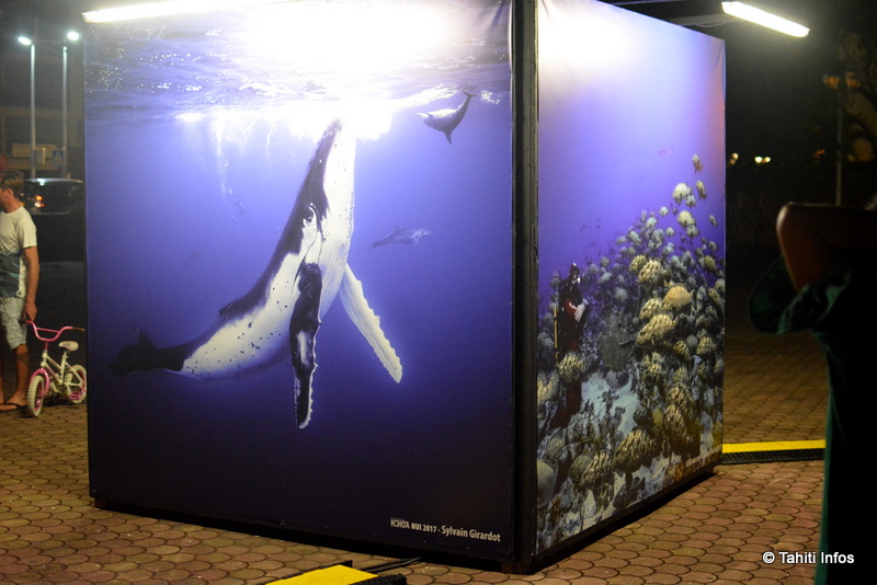 Les jeux de lumière ont mis en avant chaque îlot successivement avec un conte raconté au micro