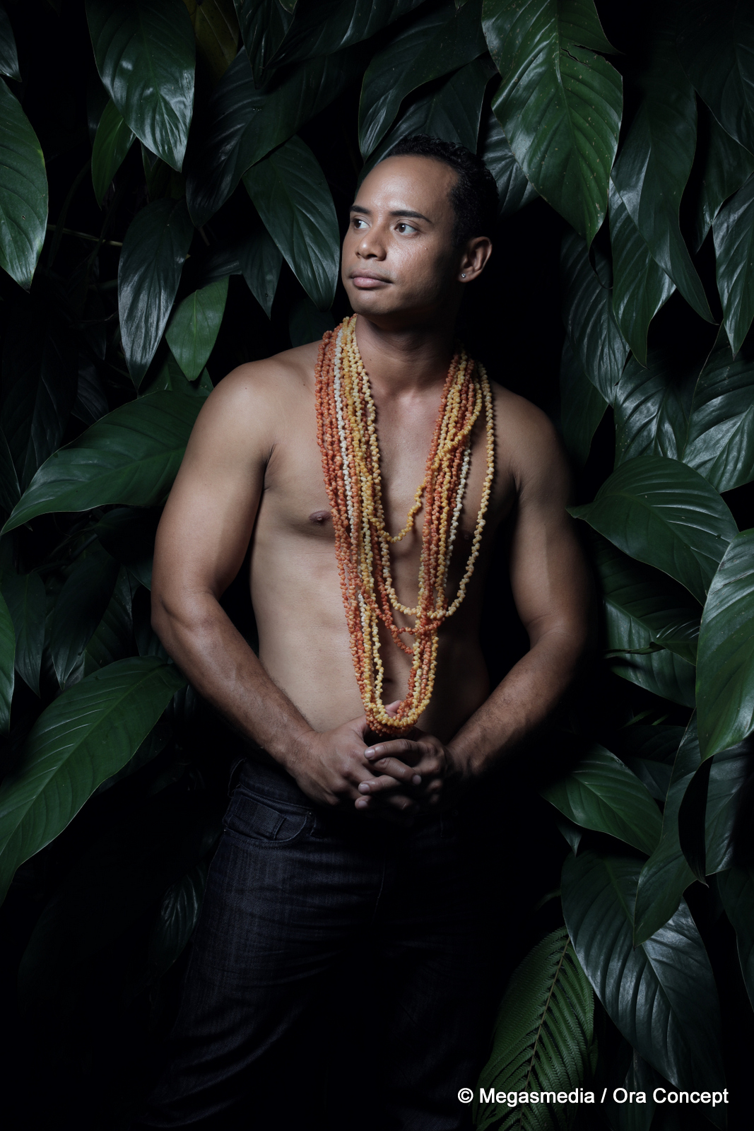 L'un de ces douze apollons sera élu Mister Tahiti 2017 ce soir