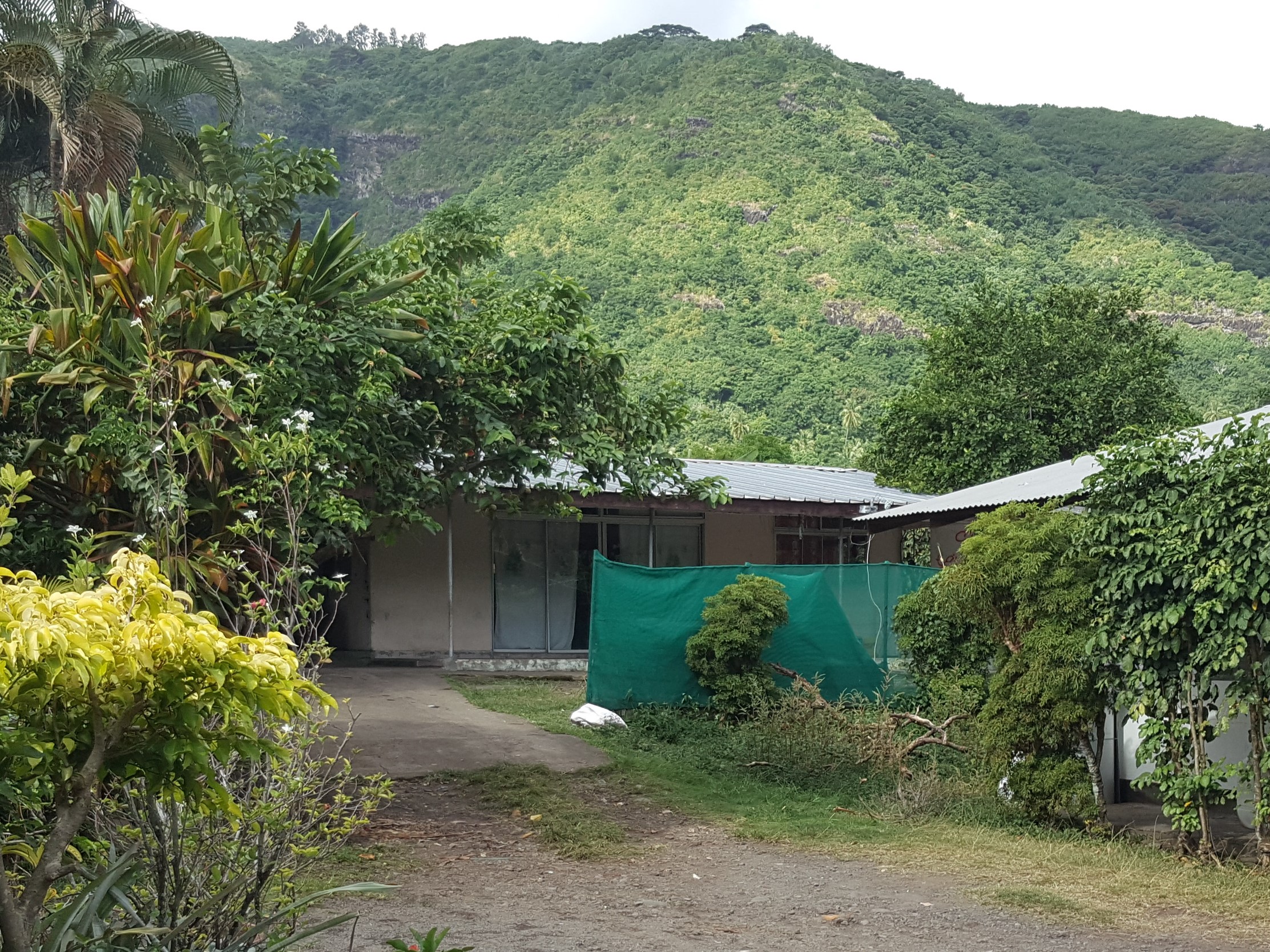 Le drame s'est produit dans ce modeste fare légèrement en retrait de la route, dans une servitude privée du PK 20 à Paea.