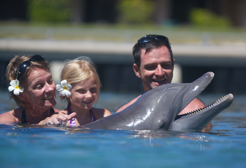 Au Moorea Dolphin Center, le public, accompagné d’un soigneurs, peut aller au contact des dauphins.  Photo : Moorea Dolphin center
