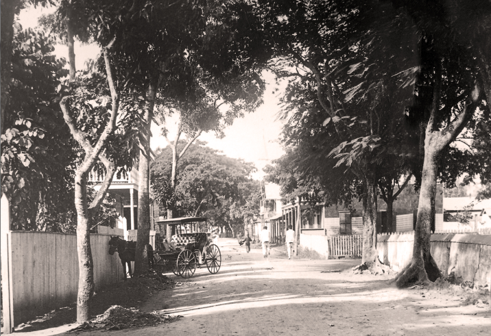 Papeete d’antan : La rue de Rivoli en 1900