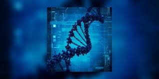 Dépistage de la trisomie 21: vers l'introduction des tests ADN