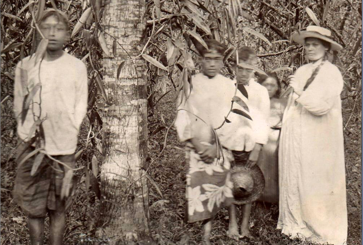 Dans une plantation de vanille, en 1903.