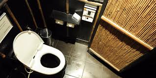 Tourisme: la Chine lance sa "Révolution nationale des toilettes"