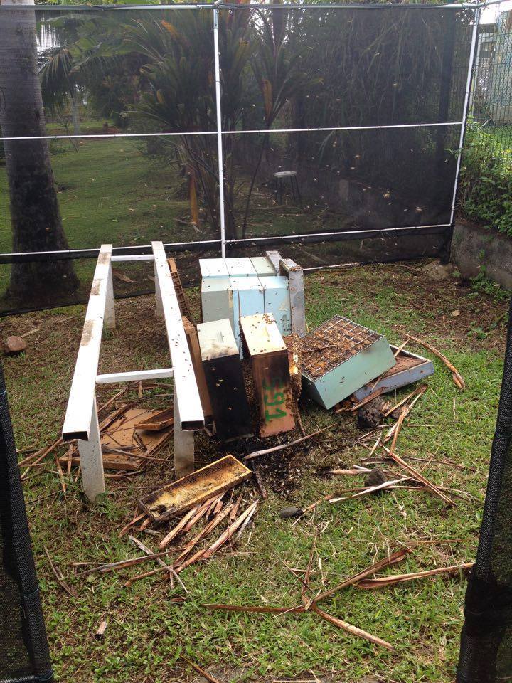 L'Institut d'insertion médico-éducatif, qui accueille environ 60 jeunes et enfants handicapés, s'est fait vandalisé à deux reprises.