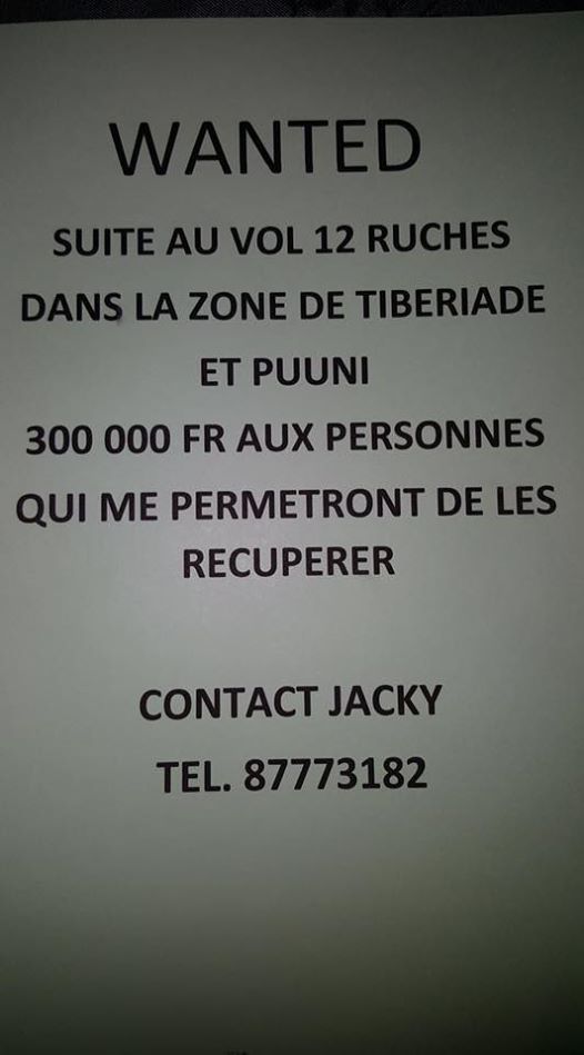 Vol et vandalisme de ruches : les apiculteurs dans la tourmente