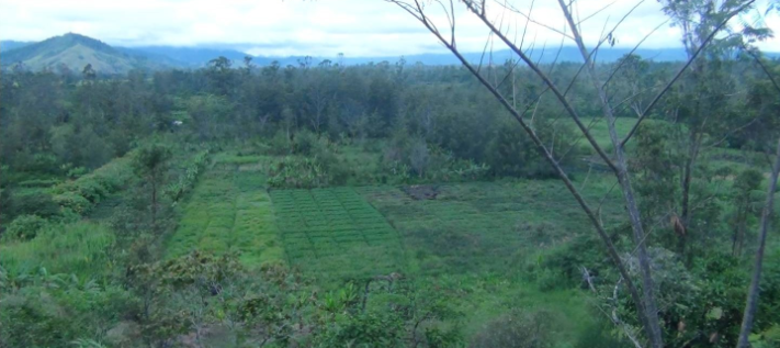 Carnet de voyage - Océanie : les sites déjà classés par l’Unesco en attendant Taputapuatea…