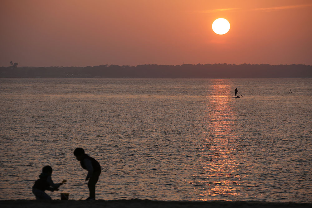 Le label "Aire marine éducative" récompense huit écoles primaires