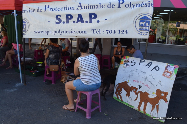 Le service de protection animale de Polynésie était aussi de la partie afin de trouver des familles adoptives pour leurs pensionnaires.