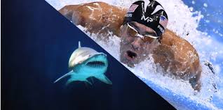 Michael Phelps va nager contre un requin