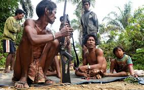 En Indonésie, des tribus victimes de la déforestation se tournent vers l'islam