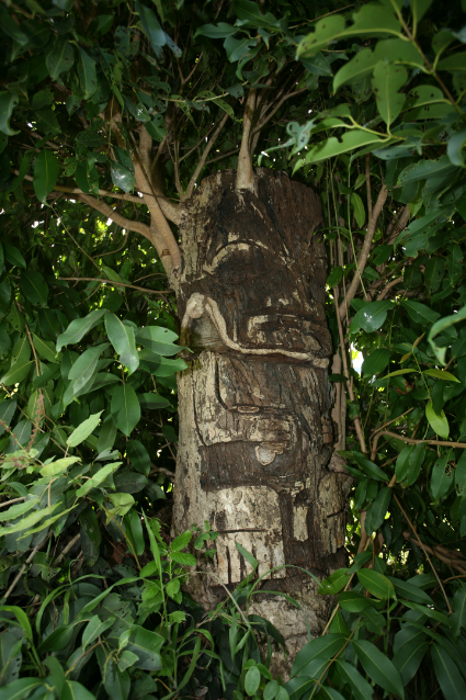 Carnet de voyage - Les « tiki toa » de Hiva Oa