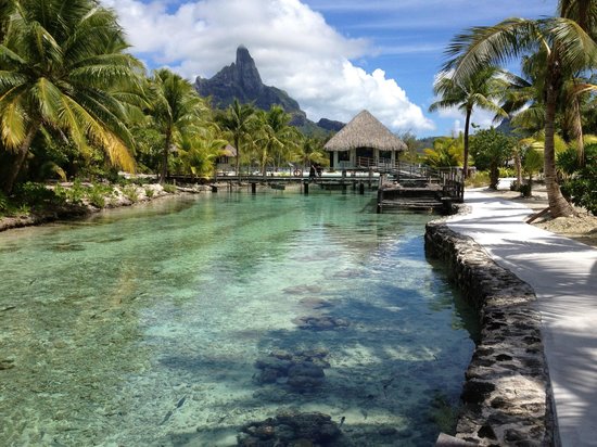 Crédit photo : Trip Advisor