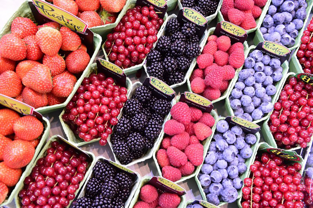 Un régime alimentaire légèrement meilleur permet de vivre bien plus longtemps