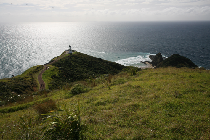 Carnet de voyage - Reinga : le cap des âmes maories défuntes