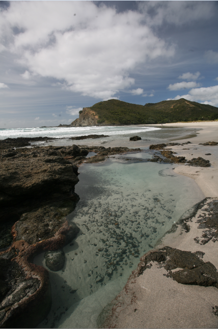 Carnet de voyage - Reinga : le cap des âmes maories défuntes