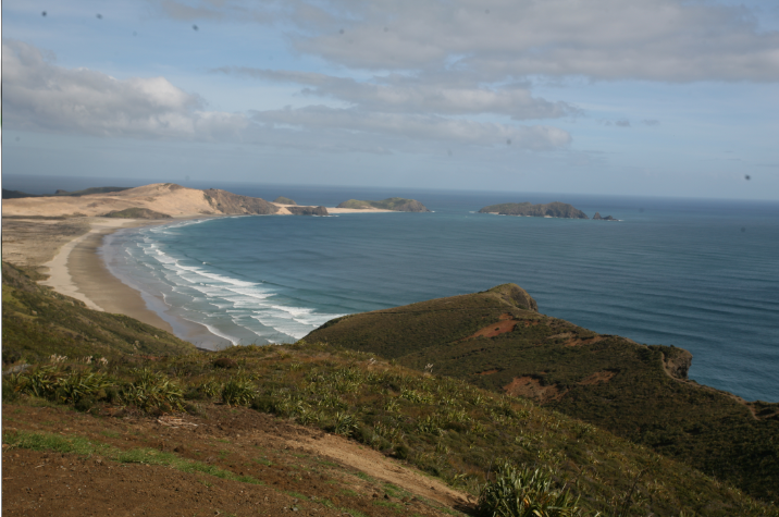 Carnet de voyage - Reinga : le cap des âmes maories défuntes